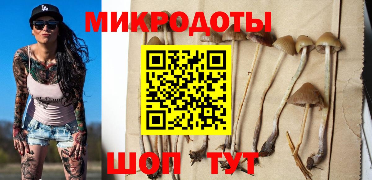 Нижнекамск  Псилоцибиновые грибы ЛСД  Вход с VPN 