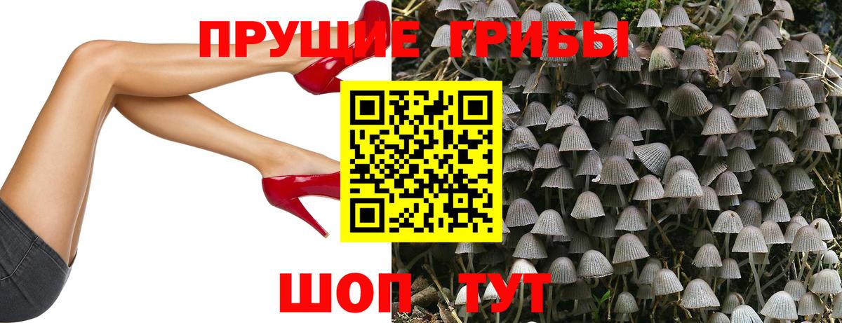 Галлюциногенные грибы Cubensis Нижнекамск